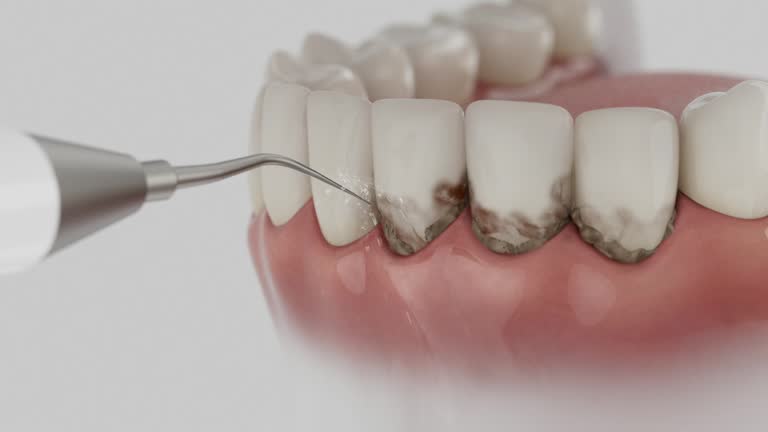 Reliable Dental contractor in Johnsburg, IL by Dentist Open Now